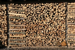 Holz Tannenbäume Diverses