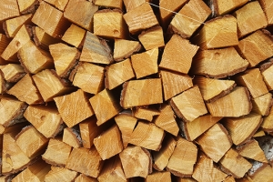 Brennholz Tanne per Ster
